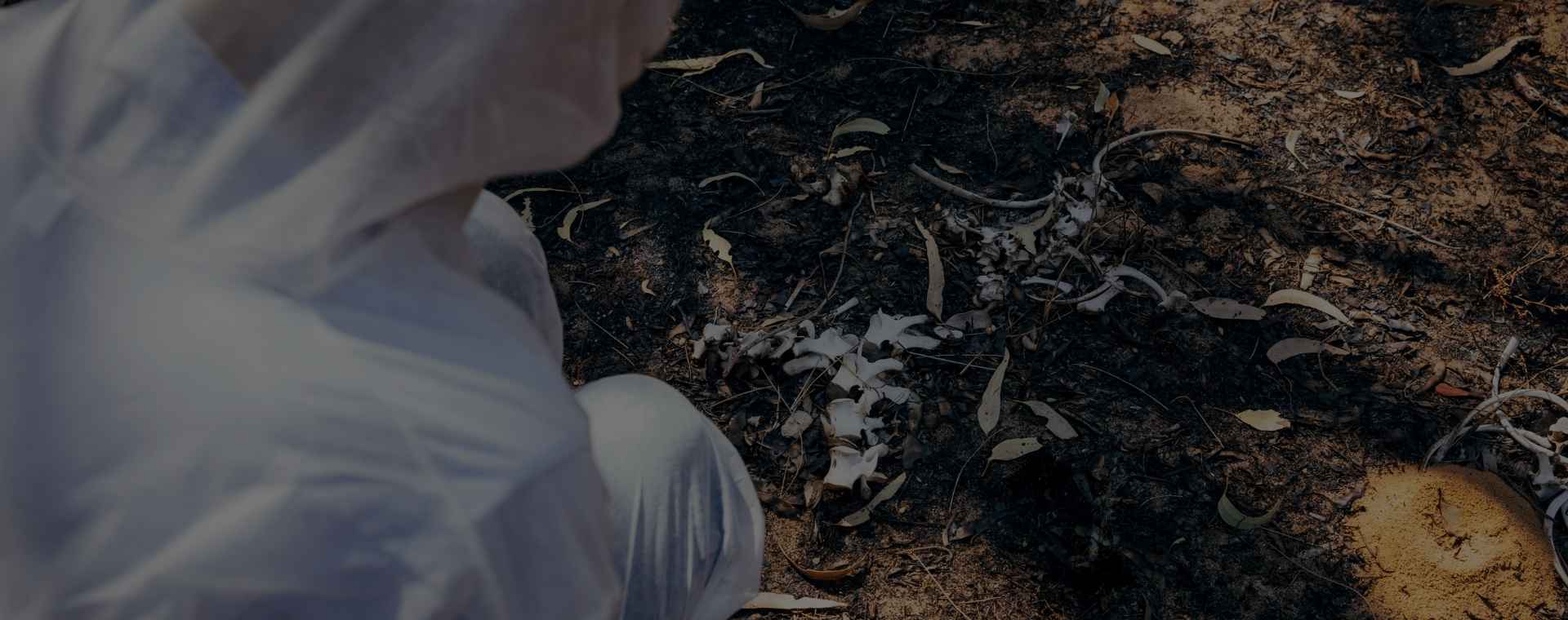 Professional Biohazard Cleanup In Florida